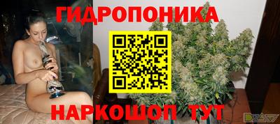 спиды Партизанск