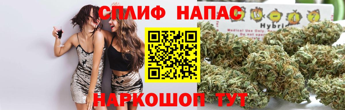 Канабис конопля Сегежа